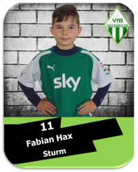Fabian Hax.png